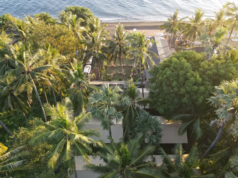 The Tianyar shore from the air, coconut palms over the roofs with the beach and the sea behind them