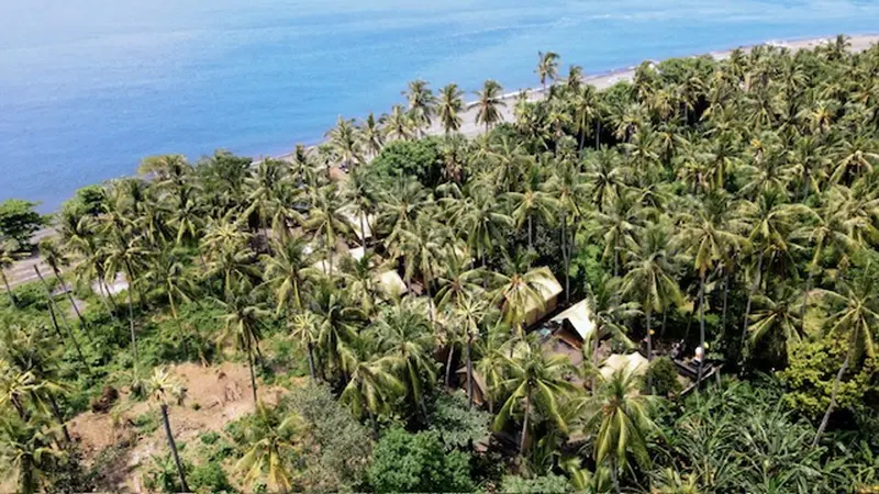 An aerial view of palm trees and canvas lodges along the coast at Tianyar, the sea beyond