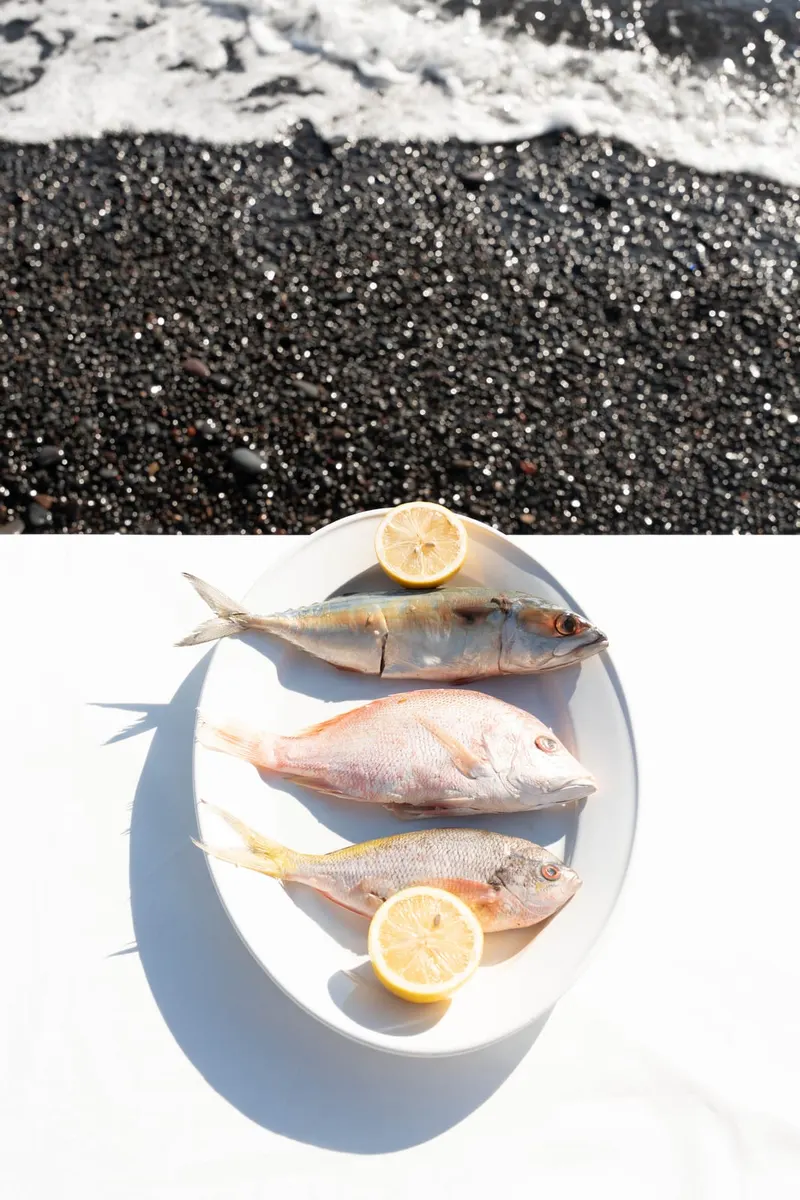 The morning's fresh catch, mackerel and snapper, on the pebbled shore at Tianyar