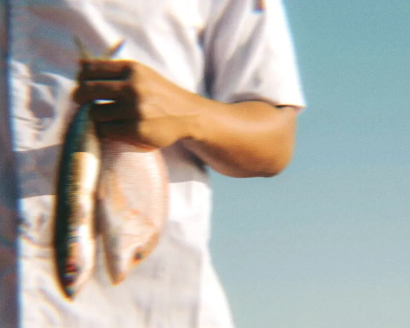 The catch of the day, plated simply
