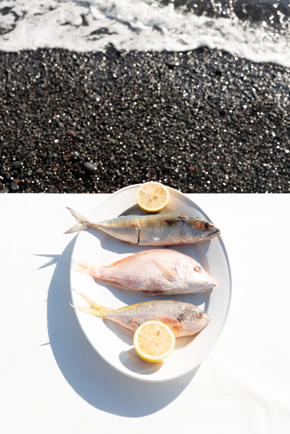 The morning's fresh catch — mackerel and snapper — on the black-sand shore at Tianyar