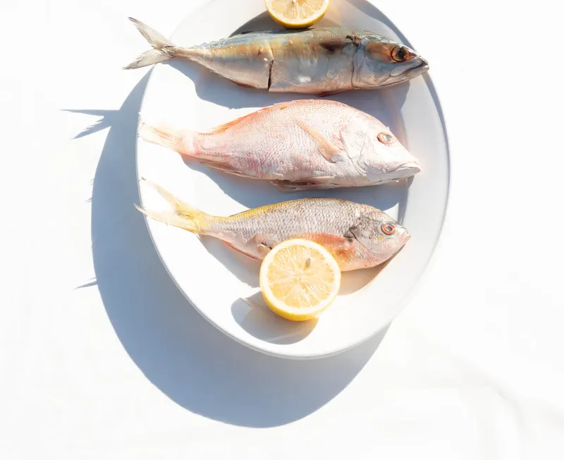 The morning's catch, three whole fish with lime on a white plate in bright sun