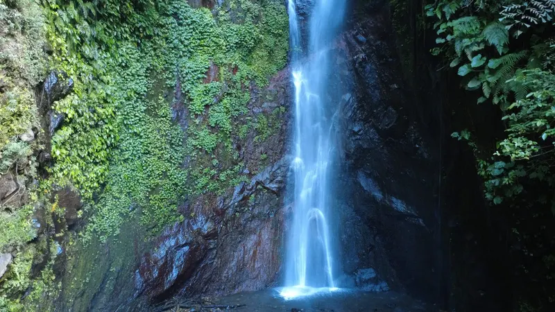 A waterfall in the jungle hills inland from Tianyar, water falling over a moss-covered rock face into a shaded pool.