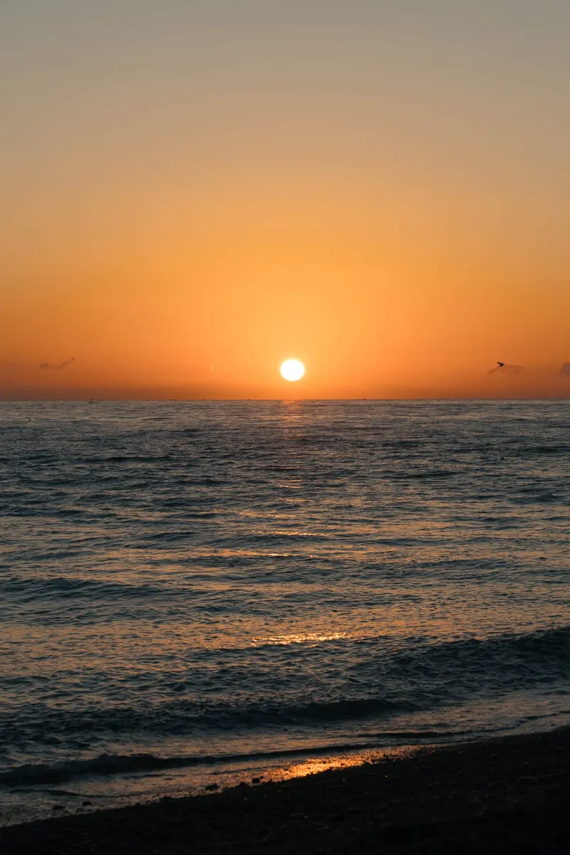 The sun on the horizon over a calm sea at dusk, with a dark shore at the bottom of the frame